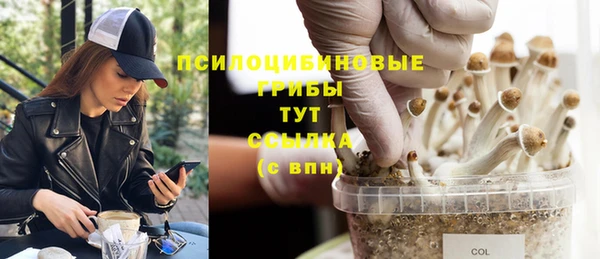 альфа пвп Краснослободск