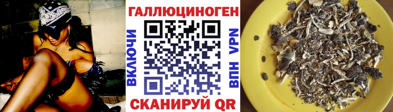 Галлюциногенные грибы GOLDEN TEACHER  наркотики  Яблоновский 
